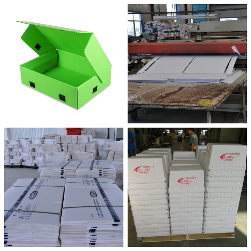 PP Corrugated Plastic Vegetable Boxes PP Corrugated Plastic Vegetable Boxes