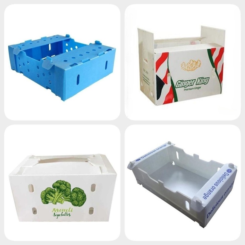 Recyclable OEM Corrugated Plastic Turnover Box Recyclable OEM Corrugated Plastic Turnover Box