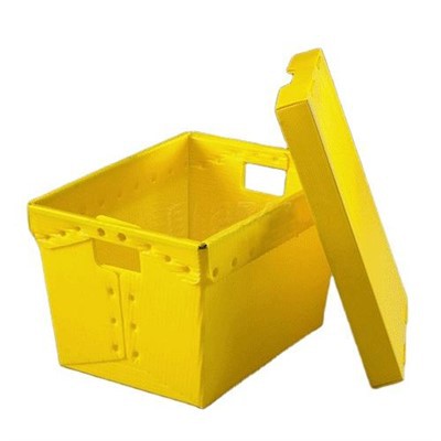 PP Coroplast Vassoio Scatola Mail Borse