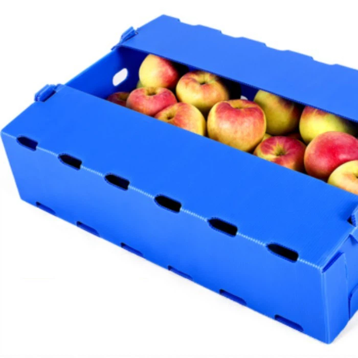 PP Corrugated Plastic Vegetable Boxes