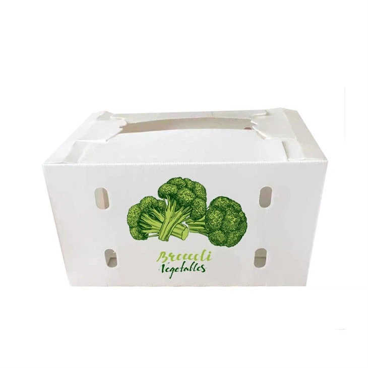 PP Corrugated Plastic Vegetable Boxes