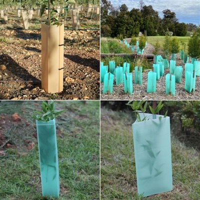 Protezione per alberi in plastica PP ecologica-