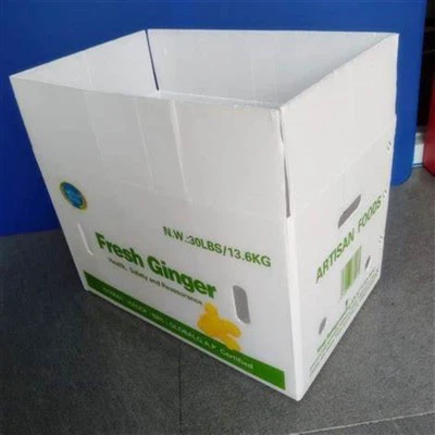 Scatola di plastica ondulata leggera e riciclabile