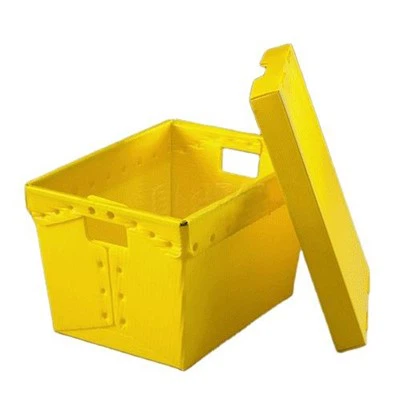PP Orcolato di plastica postale vassoio postale