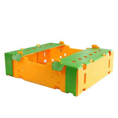 Scatole per verdure in plastica ondulata in PP